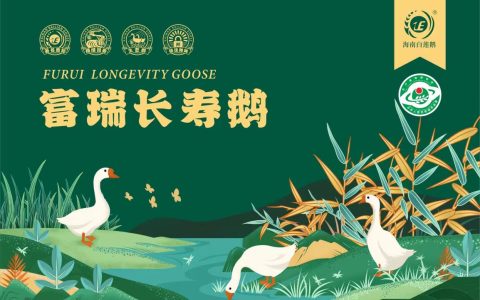 澄迈：投资2至3亿元建白莲鹅产业园区