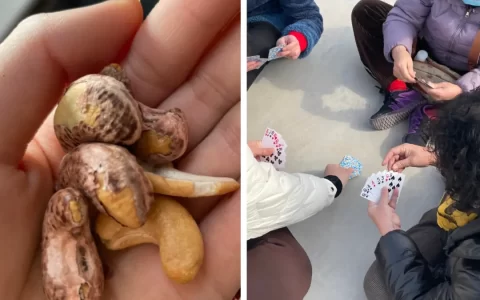 当00后混入老年旅游团：快活极了！