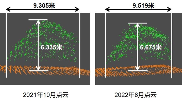 采建融用，经略森林，飞燕遥感助力智慧林业建设