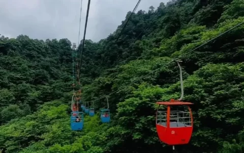 65家国有文旅集团今年过得咋样？