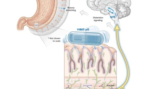 “减肥神药”登Science子刊，提前20分钟服用，少吃40%，成本还很低