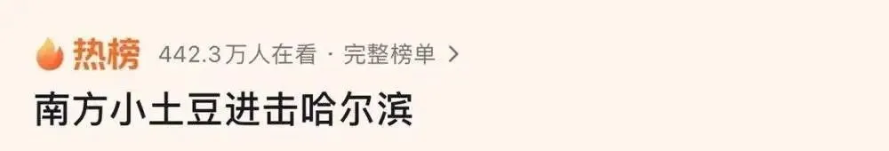 哈尔滨爆火背后，也有高人吗