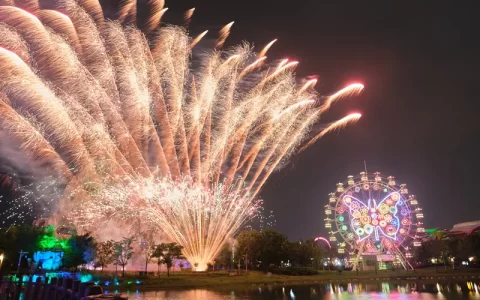 掏空“家底”的哈尔滨，元旦如愿“火”出圈