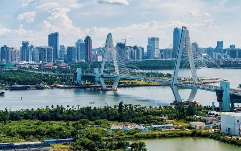 交易额达6亿元，海南加快发展自贸港数字经济