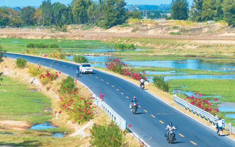 打卡环岛旅游公路驿站，快来开启“魔法之旅”吧~