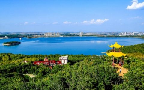 依托资源优势，聚力合作共赢 宾县创造更多投资机会