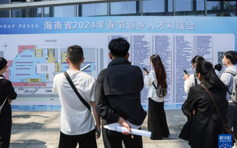 直播自贸港｜海南举办春节返乡人才对接会