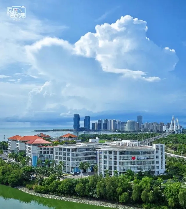 海南AEO企业数量增长146% 为自贸港建设再添强劲动能