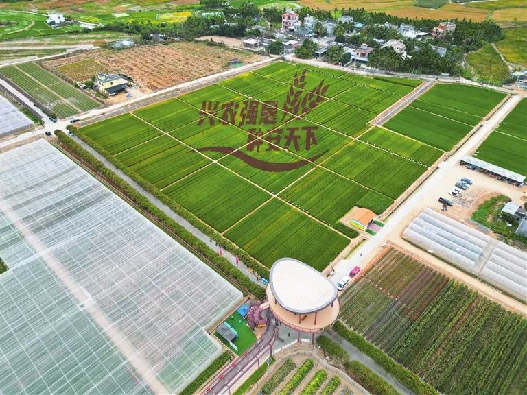 海南自由贸易港努力打造新时代改革开放标杆