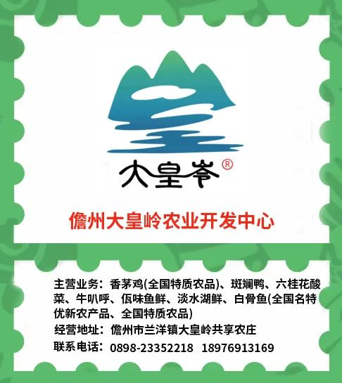 2024年“吃遍海南”宣传服务公告（第一批）