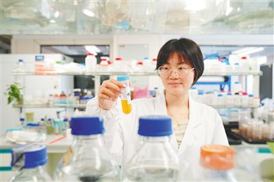 向种图强壮大“芯”力量
