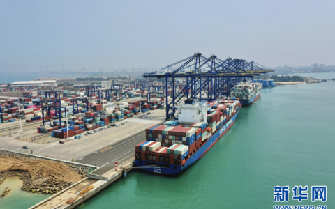 直播自贸港｜洋浦国际集装箱码头新增“一带一路”中东直航新航线