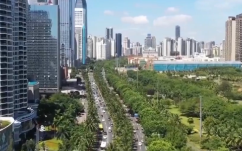 直播自贸港｜中行海南分行落地首批跨境贸易高水平开放试点业务