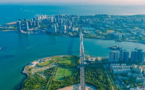 驻华使节相约海南自贸港：“这里的开放很有吸引力！”