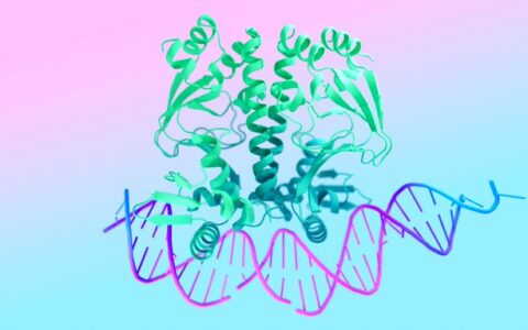 谷歌AI药物研发模型AlphaFold重磅升级：预测所有生命分子的结构和相互作用