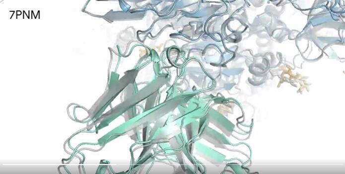 谷歌AI药物研发模型AlphaFold重磅升级：预测所有生命分子的结构和相互作用