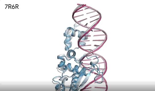 谷歌AI药物研发模型AlphaFold重磅升级：预测所有生命分子的结构和相互作用