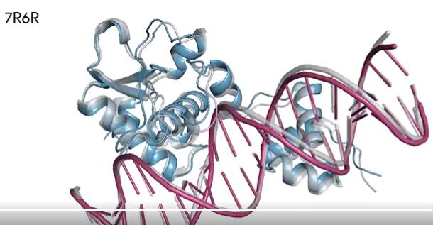 谷歌AI药物研发模型AlphaFold重磅升级：预测所有生命分子的结构和相互作用