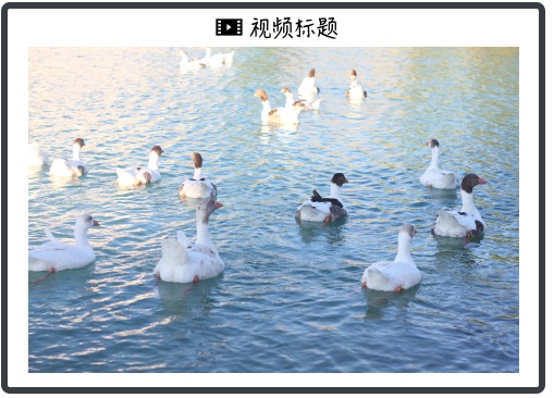 马斯克在2024年特斯拉股东大会上的年度发言