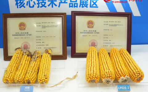 “行进中国”调研行·投资海南｜为了培育“好种子” 海归博士扎根海南当“新人”