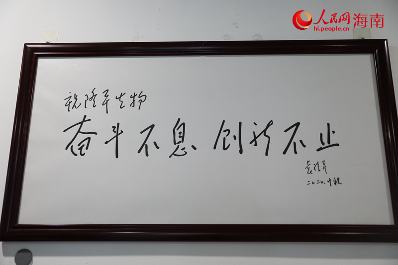 “行进中国”调研行·投资海南｜为了培育“好种子” 海归博士扎根海南当“新人”