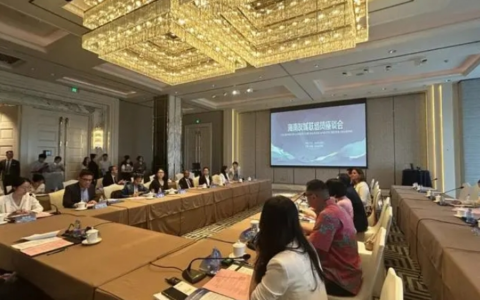 友城代表齐聚海南，共话友谊，共谋发展