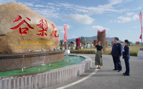 万千气象看海南：税惠赋能黄花梨“点木成金”