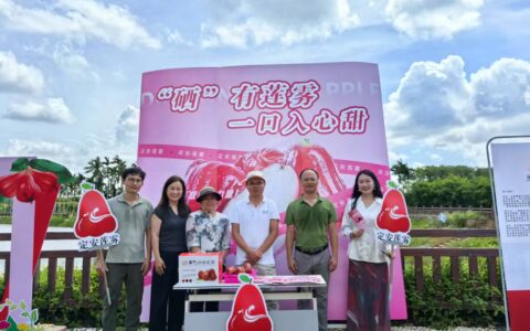 “果香盛宴·火‘荔’莲‘天’” 2025定安黄竹水果采摘节盛大开启 赋能乡村振兴新征程