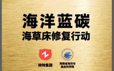 转转集团启动海洋蓝碳海草床修复行动，循环经济产业助力低碳社会建设