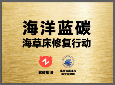 转转集团启动海洋蓝碳海草床修复行动，循环经济产业助力低碳社会建设