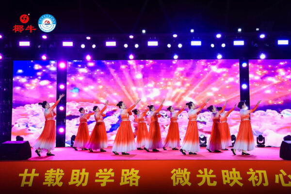东方市感城镇举行2025年度“感恩奖/助学金”发放仪式暨感恩助学20周年文艺晚会