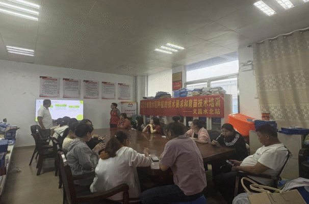 解锁水稻高效育苗密码,文昌水北就业驿站这场培训赋能乡村振兴