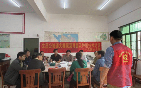 文昌水北就业驿站举办大棚蔬菜育苗及种植技术培训