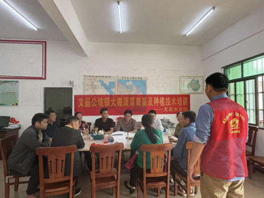 文昌水北就业驿站举办大棚蔬菜育苗及种植技术培训