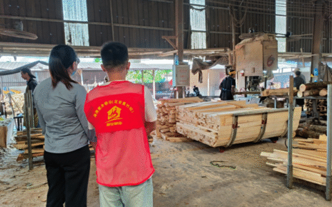 搭建求职者与用人单位的精准对接桥梁