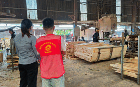 搭建求职者与用人单位的精准对接桥梁