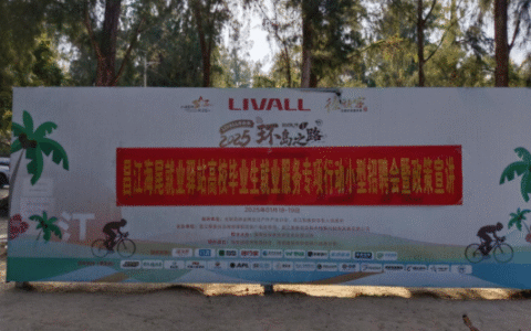 高校毕业生就业服务专项行动招聘会暨政策宣传活动在昌江沙渔塘社区举办