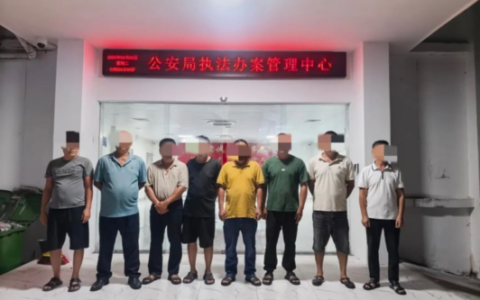 乐东警方破获6起滥伐林木和毁坏林木相关案件，抓获11人