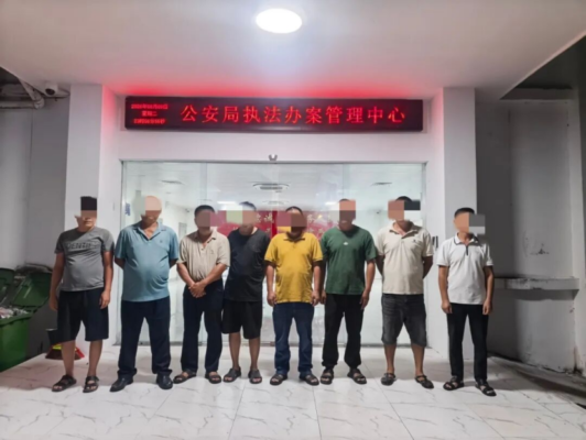 乐东警方破获6起滥伐林木和毁坏林木相关案件,抓获11人